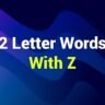 2-letter-words-with-z