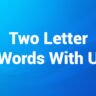 two letter words with u